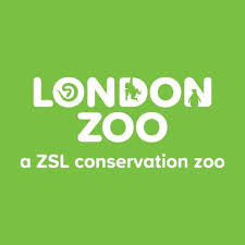 Zsllogo | Blueprint Site