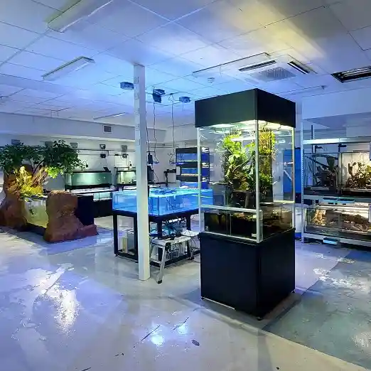 Reptile Terrariums